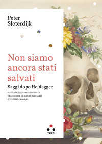 NON SIAMO ANCORA STATI SALVATI - SAGGI DOPO HEIDEGGER