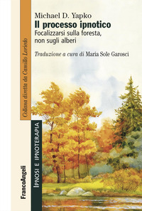 PROCESSO IPNOTICO - FOCALIZZARSI SULLA FORESTA NON SUGLI ALBERI