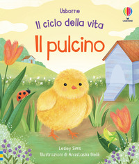 PULCINO - IL CICLO DELLA VITA