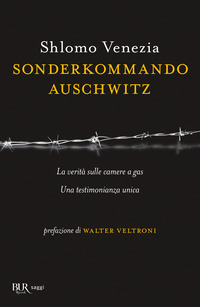 SONDERKOMMANDO AUSCHWITZ