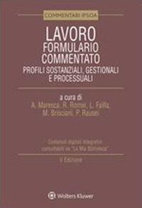 LAVORO FORMULARIO COMMENTATO - PROFILI SOSTANZIALI GESTIONALI E PROCESSUALI