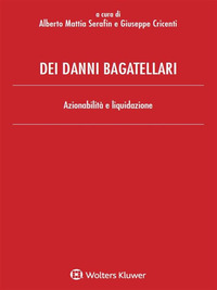 DEI DANNI BAGATELLARI - AZIONABILITA\' E LIQUIDAZIONE