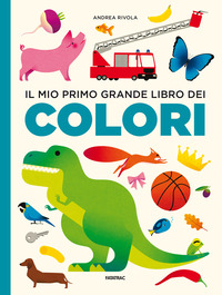 MIO PRIMO GRANDE LIBRO DEI COLORI