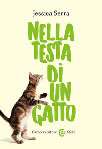 NELLA TESTA DI UN GATTO