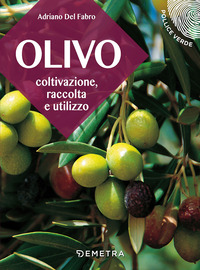 OLIVO COLTIVAZIONE RACCOLTA E UTILIZZO