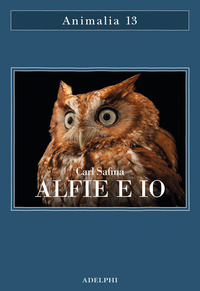ALFIE E IO - QUELLO CHE I RAPACI SANNO QUELLO CHE GLI UMANI CREDONO
