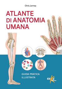 ATLANTE DI ANATOMIA UMANA - GUIDA PRATICA ILLUSTRATA