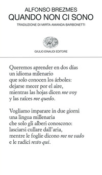 QUANDO NON CI SONO