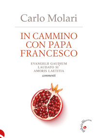 IN CAMMINO CON PAPA FRANCESCO - EVANGELII GAUDIUM LAUDATO SI\' AMORIS LAETITIA