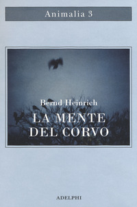 MENTE DEL CORVO