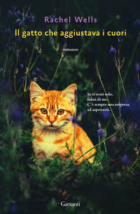 GATTO CHE AGGIUSTAVA I CUORI