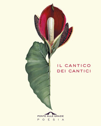 CANTICO DEI CANTICI