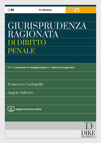 GIURISPRUDENZA RAGIONATA DI DIRITTO PENALE PER IL CONCORSO IN MAGISTRATURA E I CONCORSI SUPERIORI