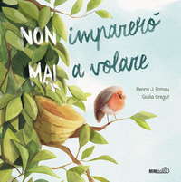 NON IMPARERO\' MAI A VOLARE