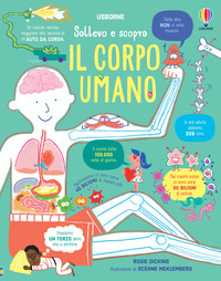 CORPO UMANO - SOLLEVO E SCOPRO