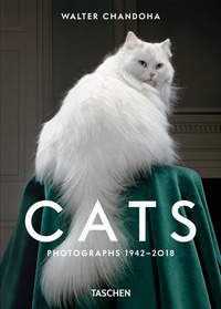 WALTER CHANDOHA - CATS - PHOTOGRAPHS 1942-2018 - EDIZ. ILLUSTRATA