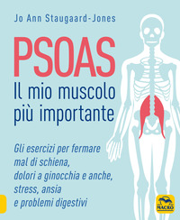 PSOAS IL MIO MUSCOLO PIU\' IMPORTANTE