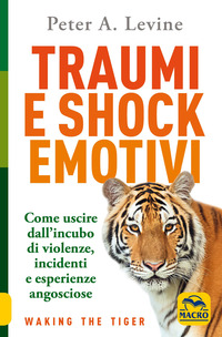 TRAUMI E SHOCK EMOTIVI - COME USCIRE DALL\'INCUBO DI VIOLENZE INCIDENTI E ESPERIENZE ANGOSCIOSE.