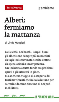 ALBERI: FERMIAMO LA MATTANZA