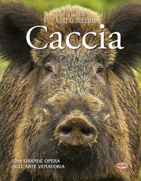 CACCIA