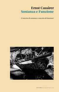 SOSTANZA E FUNZIONE - CONCETTO DI SOSTANZA E CONCETTO DI FUNZIONE