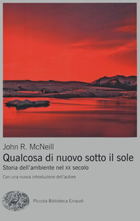 QUALCOSA DI NUOVO SOTTO IL SOLE - STORIA DELL\'AMBIENTE NEL XX SECOLO