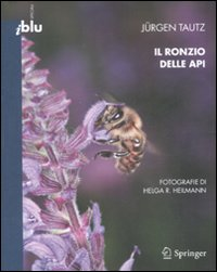 RONZIO DELLE API