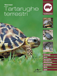 TARTARUGHE TERRESTRI