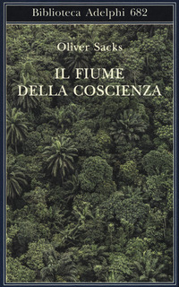 FIUME DELLA COSCIENZA