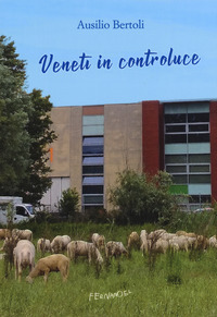 VENETI IN CONTROLUCE