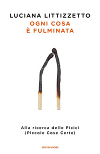 OGNI COSA E\' FULMINATA