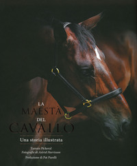 MAESTA\' DEL CAVALLO - UNA STORIA ILLUSTRATA
