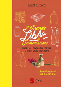GRANDE LIBRO DELLA FERMENTAZIONE - LA BIBBIA DELLA FERMENTAZIONE CASALINGA DA TUTTO IL MONDO