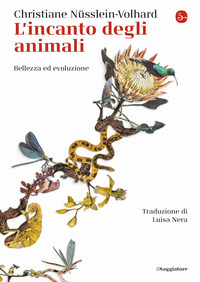 INCANTO DEGLI ANIMALI