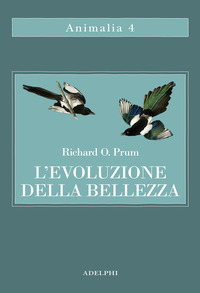 EVOLUZIONE DELLA BELLEZZA