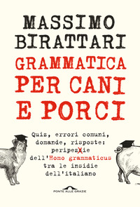 GRAMMATICA PER CANI E PORCI - QUIZ ERRORI COMUNI DOMANDE RISPOSTE