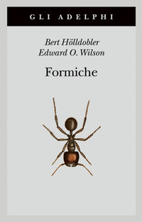FORMICHE - STORIA DI UN\'ESPLORAZIONE SCIENTIFICA