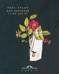 NON SEPARARE IL NO DAL SI\'