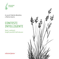CONTESTI INTELLIGENTI - SPAZI AMBIENTI LUOGHI POSSIBILI DELL\'EDUCARE