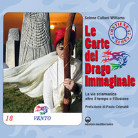 CARTE DEL DRAGO IMMAGINALE - LA VIA SCIAMANICA OLTRE IL TEMPO E L\'ILLUSIONE CON 47 CARTE
