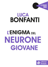 ENIGMA DEL GIOVANE NEURONE