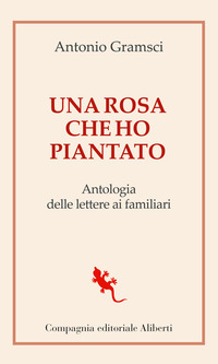 ROSA CHE HO PIANTATO - ANTOLOGIA DELLE LETTERE AI FAMIGLIARI