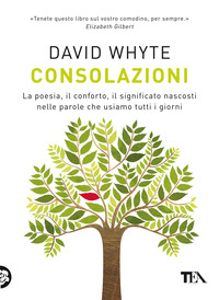 CONSOLAZIONI - LA POESIA IL CONFORTO IL SIGNIFICATO NASCOSTI NELLE PAROLE CHE USIAMO TUTTI I