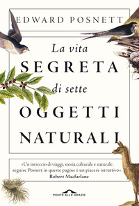 VITA SEGRETA DI SETTE OGGETTI NATURALI