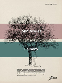 ALBERO