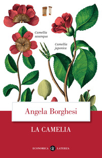 CAMELIA