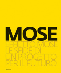 MOSE - EFFETTO MOSE LE SFIDE DI UN PROGETTO PER IL FUTURO