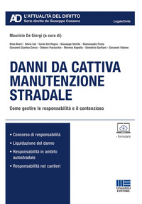 DANNI DA CATTIVA MANUTENZIONE STRADALE - COME GESTIRE LE RESPONSABILITA\' E IL CONTENZIOSO