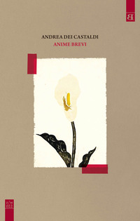 ANIME BREVI