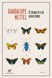CORPO IN CUI SONO NATA